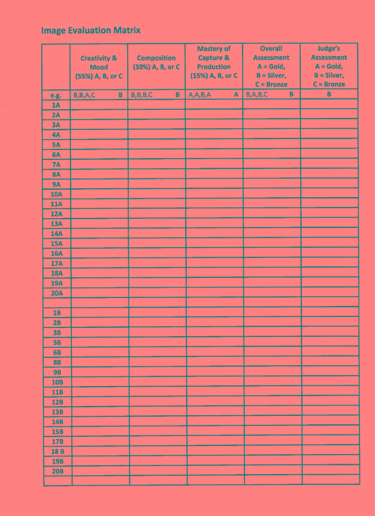 IMAGE EVALUATION MATRIX-1A.jpg